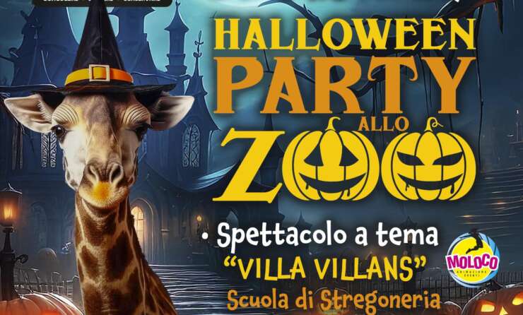 HALLOWEEN PARTY ALLO ZOO